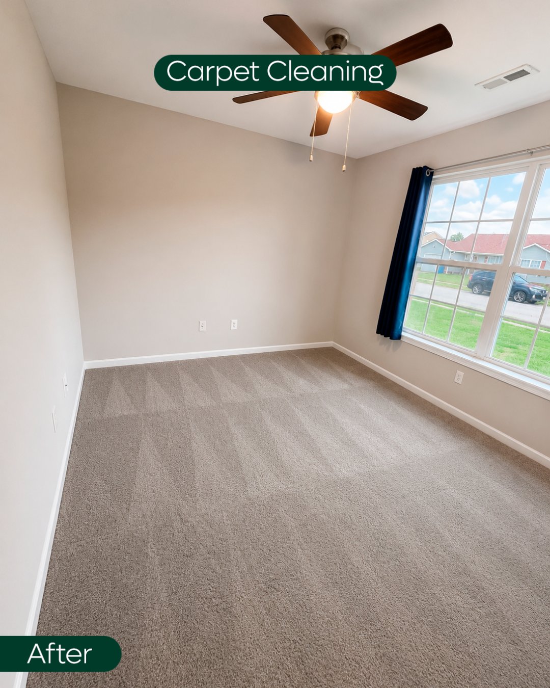 Living room carpet cleaned and groomed